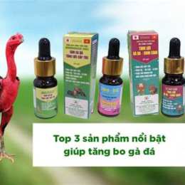 thuốc nuôi gà đá thomo