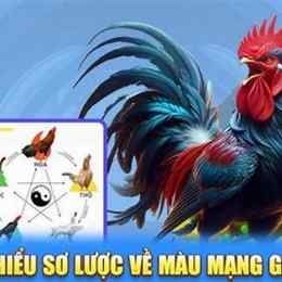 tim hieu ve mau mang ga da
