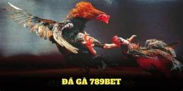 tính năng nổi bật 789 asia đá gà