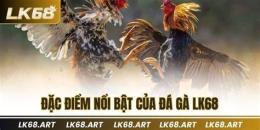 tính năng nổi bật af888 đá gà