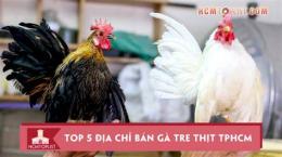 tính năng nổi bật bán gà tre tại đà nẵng