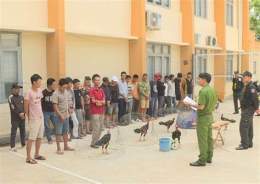 tính năng nổi bật bắt vụ đá gà ở lào