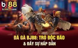 tính năng nổi bật bj88 đá gà staystrong south florida