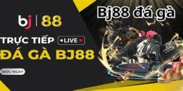 tính năng nổi bật bj88+đá+gà
