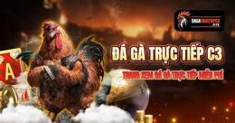 tính năng nổi bật c3 trực tiếp đá gà