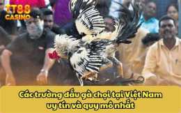 tính năng nổi bật các trận đá gà chọi