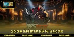 tính năng nổi bật cach chon ga da hay
