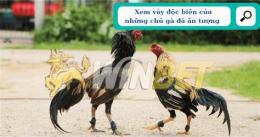 tính năng nổi bật cach coi vay ga da hay