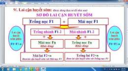 tính năng nổi bật cach do ga da