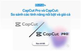 tính năng nổi bật cách làm dầu gấc
