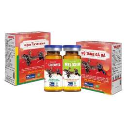 tính năng nổi bật cách trị tang gà đá