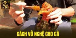 tính năng nổi bật cách vô nghệ cho gà đá cựa sắt