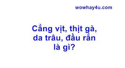 tính năng nổi bật cẳng vịt thịt gà da trâu đầu rắn là con gì
