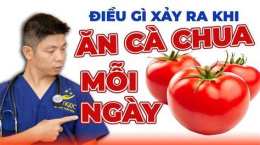 tính năng nổi bật cho gà đá ăn cà chua có tác dụng gì