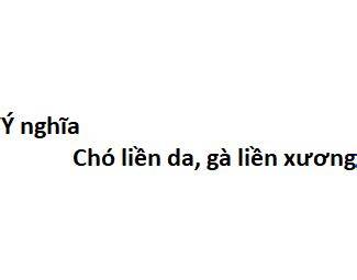 tính năng nổi bật chó liền da gà liền xương có nghĩa là gì