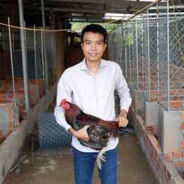 tính năng nổi bật chó tốt gà đá hậu giang