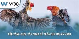 tính năng nổi bật chơi đá gà w88