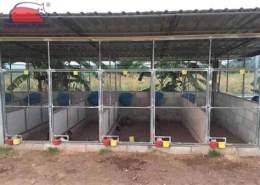 tính năng nổi bật chuồng trại nuôi gà đá