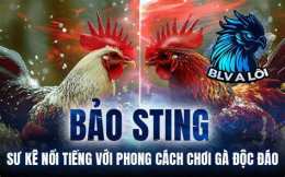 tính năng nổi bật clip da ga bao sting