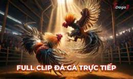 tính năng nổi bật clip da ga cpc3