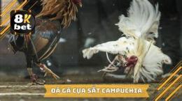 tính năng nổi bật clip da ga cua sat 2016