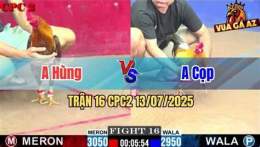 tính năng nổi bật clip đá gà khét anh cọp
