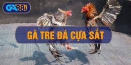 tính năng nổi bật clip ga da cua sat
