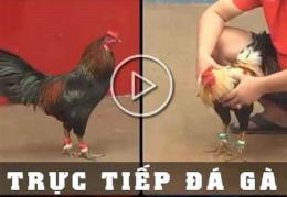 tính năng nổi bật coi da ga tho mo