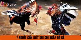 tính năng nổi bật coi ngay da ga hom nai