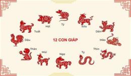 tính năng nổi bật coi ngày gà đá ra trận 12 con giáp theo lịch âm