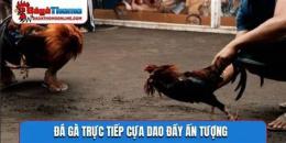tính năng nổi bật coi trực tiếp đá gà cựa dao