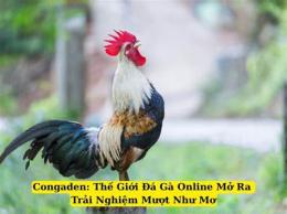tính năng nổi bật congaden đá gà