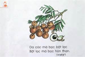 tính năng nổi bật da cóc mà bọc bột lọc, bột lọc mà bọc trứng gà
