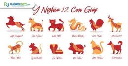 tính năng nổi bật da ga 12 con gap
