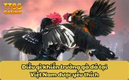 tính năng nổi bật đá gà 1/6/2022 trận 11