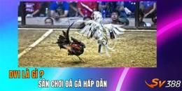 tính năng nổi bật đá gà 17 7