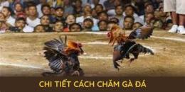 tính năng nổi bật đá gà 18win