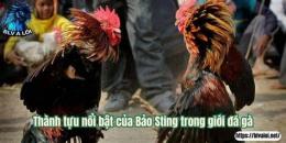 tính năng nổi bật đá gà 2 9 2022