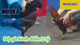 tính năng nổi bật đá gà 23 7 cpc4