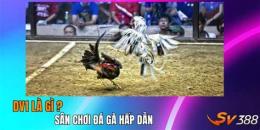 tính năng nổi bật đá gà 25 5