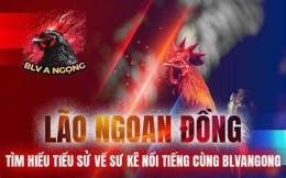 tính năng nổi bật đá gà 67 bao sting