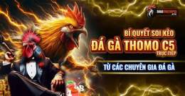 tính năng nổi bật da ga 67 c5