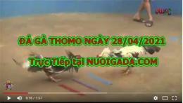 tính năng nổi bật đá gà 67 trực tiếp thôm