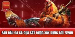 tính năng nổi bật đá gà 77win