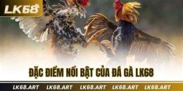 tính năng nổi bật đá gà 84.net