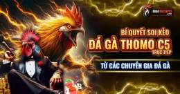tính năng nổi bật da ga 88 c5