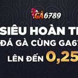 top nhà cái đá gà uy tín