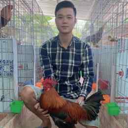 trại gà đá uy tín