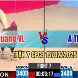 trận đá gà 15 tỷ
