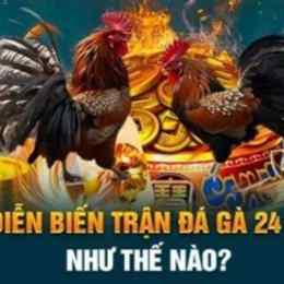 trận đá gà xám của phúc bình dương